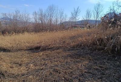 Teren de 4200 mp, în Poiana - 7