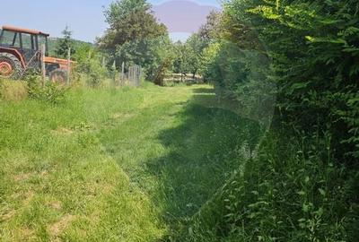 Teren  intravilan  de vanzare Oras  Saliste  Strada Livezii Jud. Sibiu - 12
