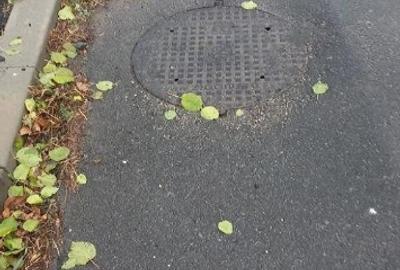 Teren de 3200 mp, în Valu lui Traian - 9