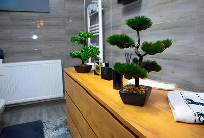 CASA VIITORULUI MODERN -Casă de Lux în Bod cu Energie Verde și Securitate Maximă - 18