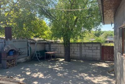 Casă cu 4 camere cu Teren 1300 Mp în Turcoaia - 1