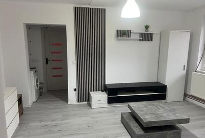 Apartament cu 2 camere semidecomandat în Ultracentral - 3