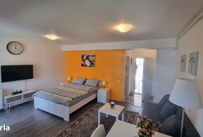 Garsonieră în Nord - 12