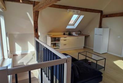 Apartament modern de inchiriat  zona Bartolomeu, la curte, complet renovat - 9