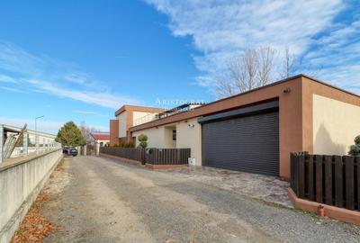 Vila cu arhitectura unica în Corbeanca - 39