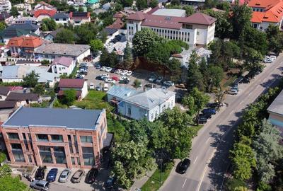 Monument Istoric Teatru langa Liceul Cuza - 4