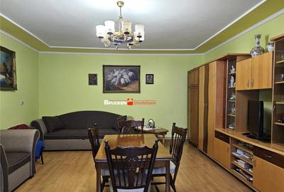 Casa spatioasa P M cu spatiu comercial Rogerius, zona... - 11