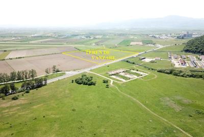 Teren Construcții extravilan de 61300 mp, în Exterior Nord