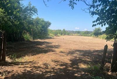 Spațiu comercial, în Ciolpani - 2