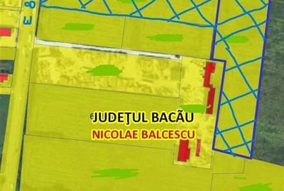 TEREN DE VANZARE  IN EXCLUSIVITATE 25200 MP IN NICOLAE BALCESCU / BACAU CU UTILI