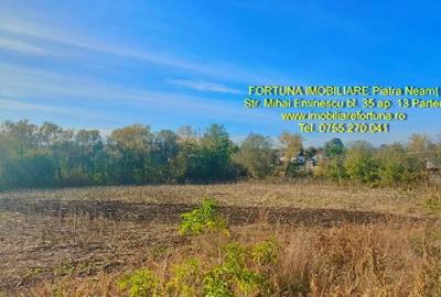 Teren intravilan, intre case, com.Stefan cel Mare Teren intravilan, intre case, com.Stefan cel Mare - 1