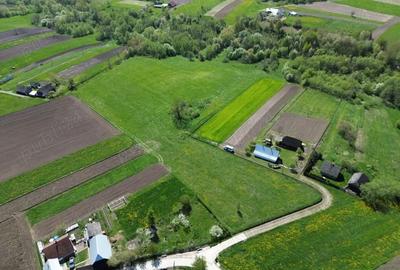 Teren de 28000 mp, în Horodnic - 7