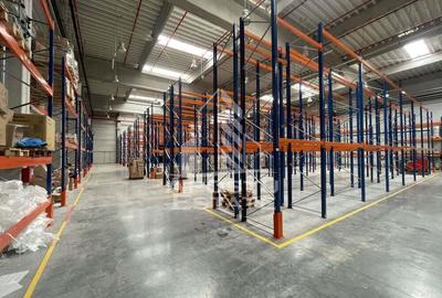 Hala 1200 mp pentru depozitare+rafturi industriale incluse, Dumbravita - 2
