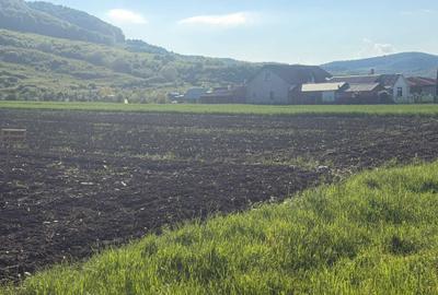 Spațiu comercial, în Arcalia - 1