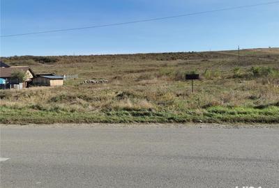 Teren de 5000 mp, în Ciurea - 2