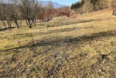 Teren agricol extravilan de 6900 mp, în Breb - 5