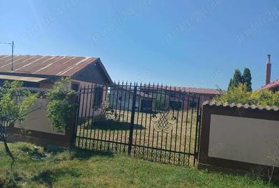 Casă în Câmpu Mare - 6