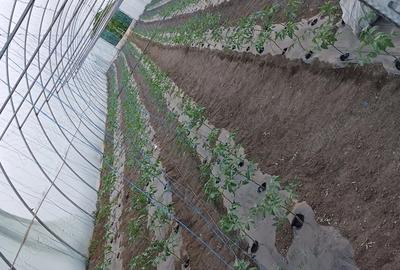 Casă cu 3 camere cu Teren 33 Mp în Cetatea de Baltă - 1