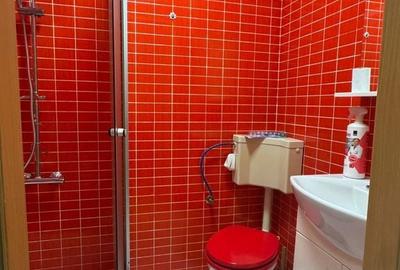 Apartament cu 2 camere semidecomandat în Mărăști - 7