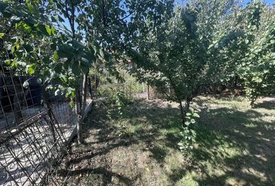 Casa cu teren 1000 mp și front 26 ml în zona Bogdanesti Casa cu teren 1000 mp și front 26 ml în zona Bogdanesti - 4