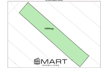 Teren agricol extravilan de 10000 mp, în Gușterița - 3