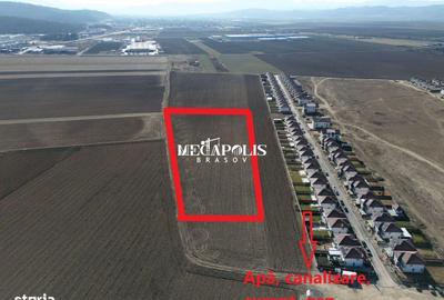 Teren de 12500 mp, în IAR - 4