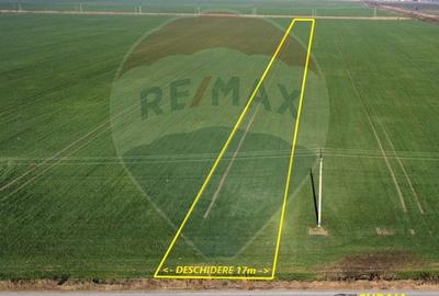 Teren agricol extravilan de 10000 mp, în Est - 1