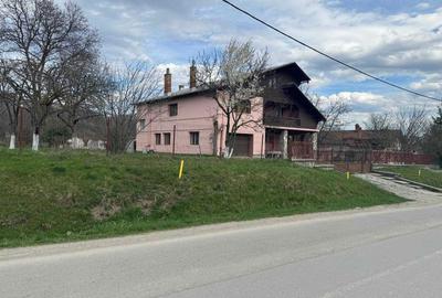 Casă cu 4 camere în Gura Beliei - 8