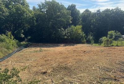 1000 mp , Bucium spre Barnova , in padure , intre case - 2