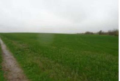 Teren intravilan arabil, situat in Com. Valea Mare, jud. Olt - 1