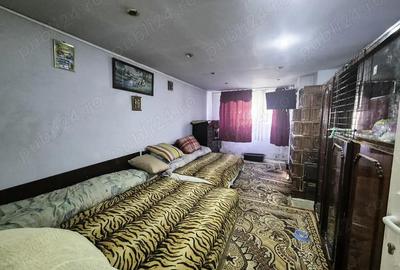 Casa Borlesti Merisani Arges - 2