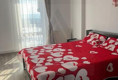 Apartament cu 2 camere semidecomandat, mobilat în Industrial Vest - 4