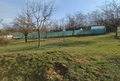 Spațiu comercial, în Colonia - 2