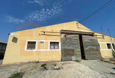 Hala situata in Ovidiu - 19