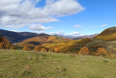 Teren extravilan de 10000 mp, în Valea Mare-Pravăț - 2
