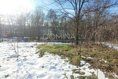 Vanzare casa Arcani, sat Campofeni langa raul Jale? - 5