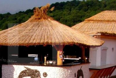 Teren, 460mp, Nord-Est - 1