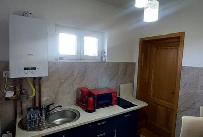 Casa  132mp utili si curte ,spre inchiriere  in zona Parcul SubArini - 5