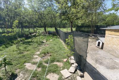 Casă individuală cu 3 camere cu Teren 662 Mp în Periam - 17