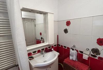 Casa 2 Camere Boul Rosu De Inchiriat - 16