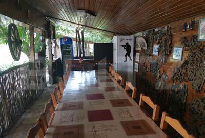 Casa de vacanta 215 mp si 4000 mp teren, zona Lelesti - 13