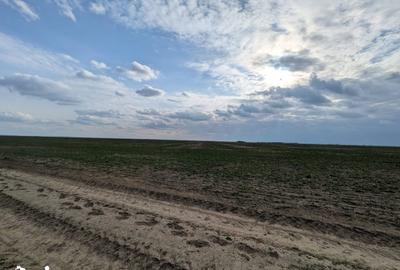 Teren de 300 mp, în Vărăști - 2