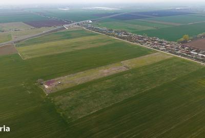 Spațiu comercial, în Giroc - 9