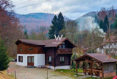 Cabana / Casa de vacanta pe Transfagarasan - Sibiu - 1