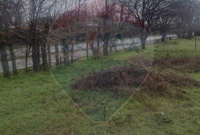 Spațiu comercial, în Cocora - 13