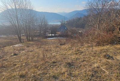 Teren de 1365 mp, în Sărata - 4