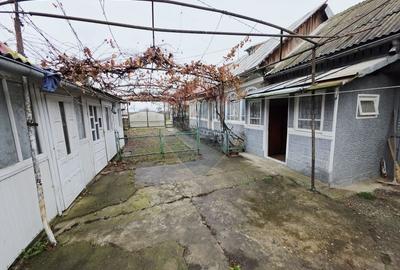 Casă individuală cu 4 camere cu Teren 1677 Mp în Slobozia (Roznov) - 22