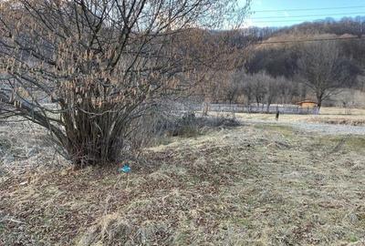 Teren Construcții intravilan de 3422 mp, în Central - 2