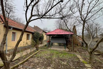 Casă cu 6 camere cu Teren 700 Mp în Cetate - 13