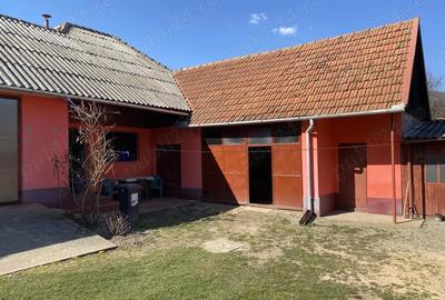 Casă cu 3 camere cu Teren 1100 Mp în Sarmizegetusa - 9